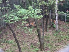 -哈尔滨北方森林动物园