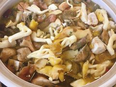 -东巴谷野生菌火锅餐厅