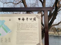 -西海子公园