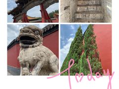 -夕阳红小吃(中街大悦城店)