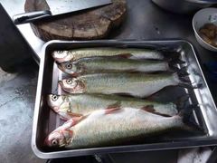 -小六农家乐(崇明西沙湿地店)