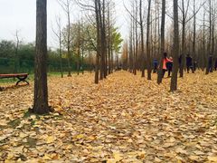 -汉景帝阳陵博物院
