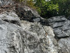 -上海吴淞炮台湾国家湿地公园