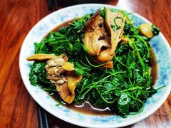 河蚌秧草-胡子饮食店