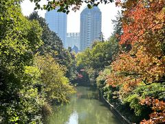 -素清香(解放路店)