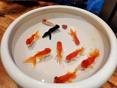 -花城苑广府菜(侨鑫店)