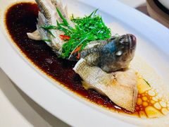 -院里寻菜·精致庭院菜(观沙岭店)