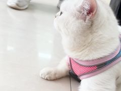 -天宠宠物医院24小时·急重症诊疗中心·全科·腔镜特色(和平分院)