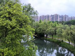 -洋湖国家湿地公园