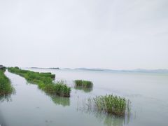 -东山风景区(洞庭东山)