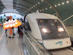 -龙阳路磁悬浮列车总站-停车场