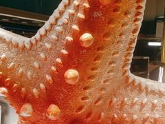 -亚马逊海鲜自助(梅溪湖步步高店)