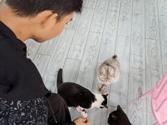 -喵屿·大理花园猫咖