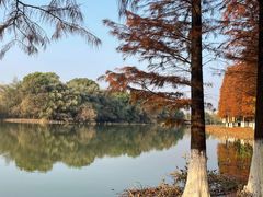 -艾溪湖湿地公园
