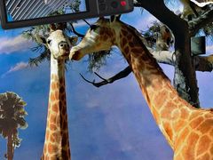 -上海电影制片厂