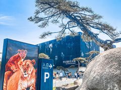 -罗红摄影艺术馆