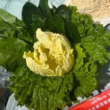暖胃火锅好时光