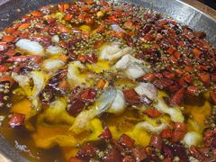 -雲蜀龙阁·金牌水煮鱼(方庄店)