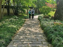 -上海醉白池公园