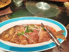 -蒙古大营(朝阳公园店)