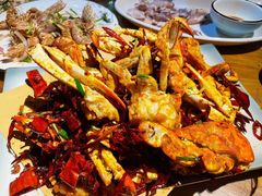 -老家黄墩小错鸡·活海鲜