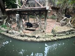 -长鹿旅游休博园