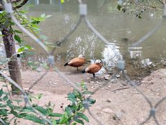 -沈阳鸟岛