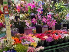 -三旗百汇商品城