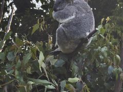 -可伦宾野生动物保护区