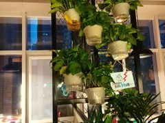 -耍哥串串香(香月湖店)
