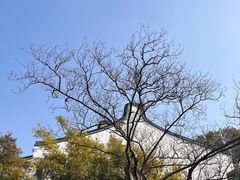 -龙华寺