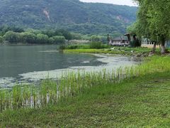 -长广溪湿地公园