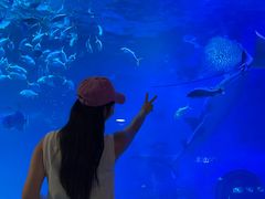 -烟台海昌鲸鲨海洋公园