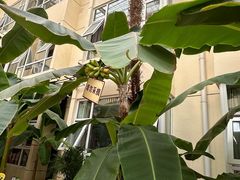 -兴芮温泉度假区