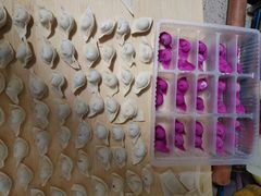 -金贝儿月嫂(高新尚品国际店)