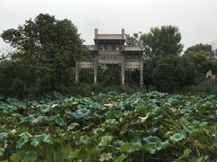 -西溪国家湿地公园