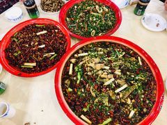 -东吴霸王兔(松青路店)