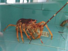 -欧记·龙城港(欣都店)