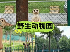-秦皇岛野生动物园