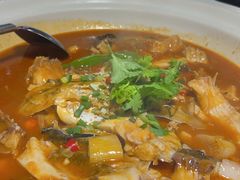 -魏铭鱼头捞饭(晋阳路店)