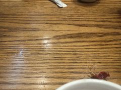 -阳光院坝小龙虾(红牌楼店)