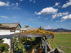 -喜林苑·稻田餐厅(品相府店)