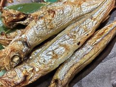 -左舞日本料理