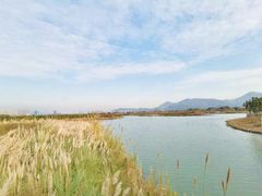 -三垟湿地
