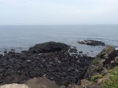 -涉地可支