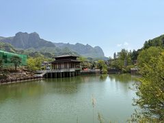 -王莽岭风景区