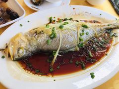 海鲜来料加工-老字号蛇口德记烧腊饭店·海鲜加工