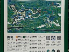 -野象谷景区