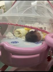 -宝生月子中心·独栋独院式(南山店)