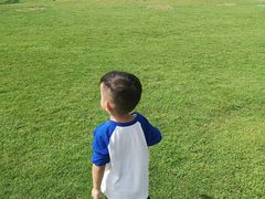 -迪茵湖田家舍生态农场